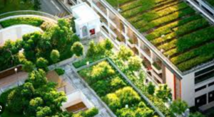 Green rooftops in a concept design, actually shows what is sustainability.